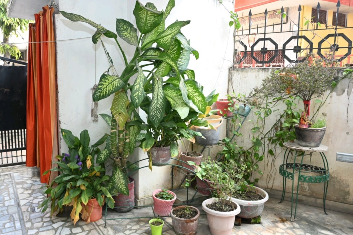 Image 25